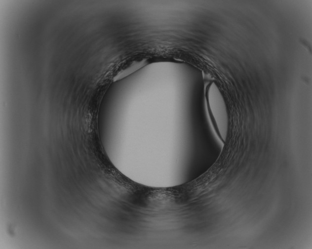 X0000091670750200709201219