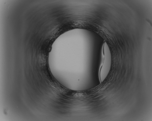 X0000091670751200709201219