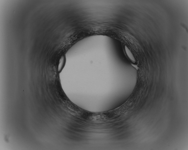 X0000091670752200709201219