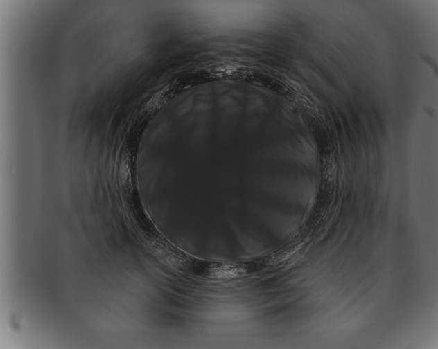 X0000091670754200709201219