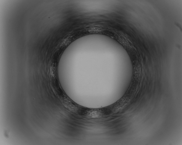 X0000091670755200709201219