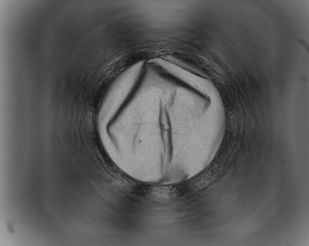 X0000091670757200709201219