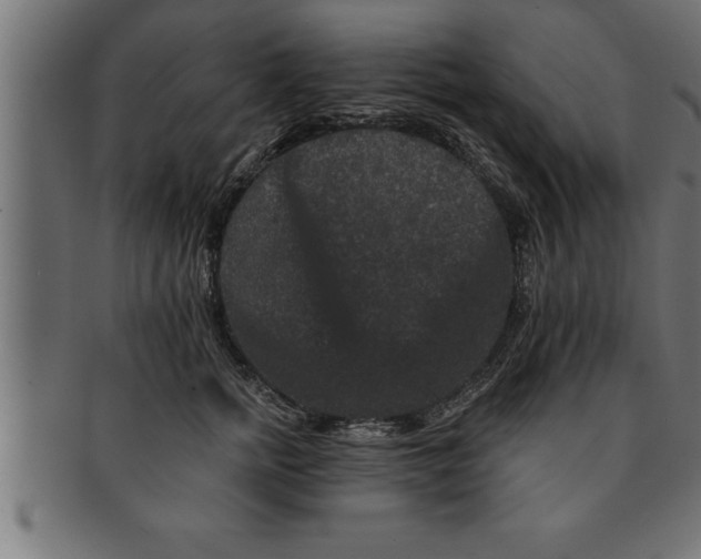 X0000091670758200709201219