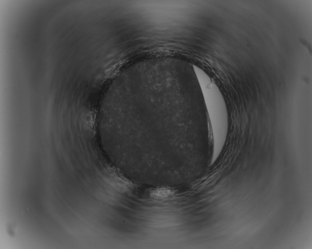 X0000091670759200709201219