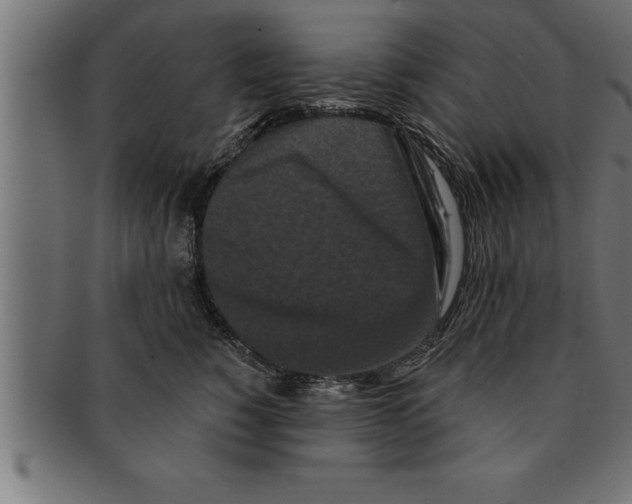 X0000091670760200709201219