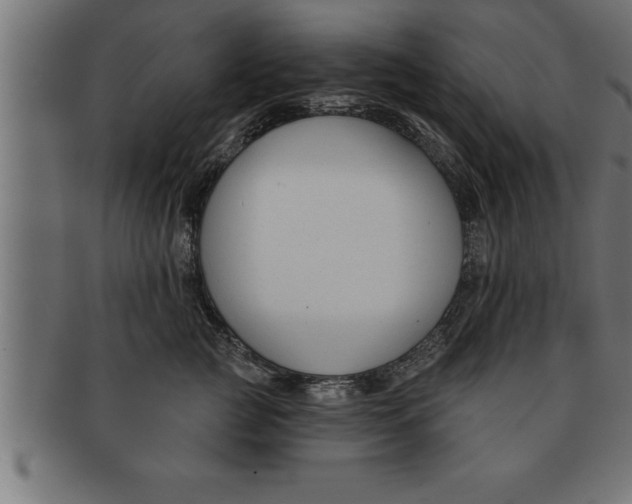 X0000091670761200709201219