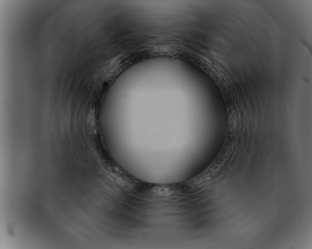 X0000091670764200709201219