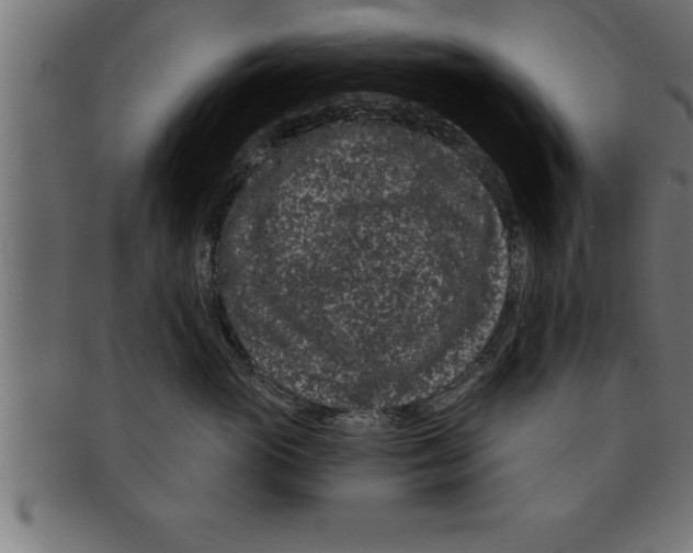 X0000091670765200709201219