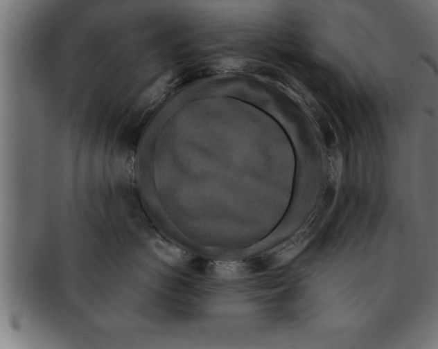 X0000091670766200709201219