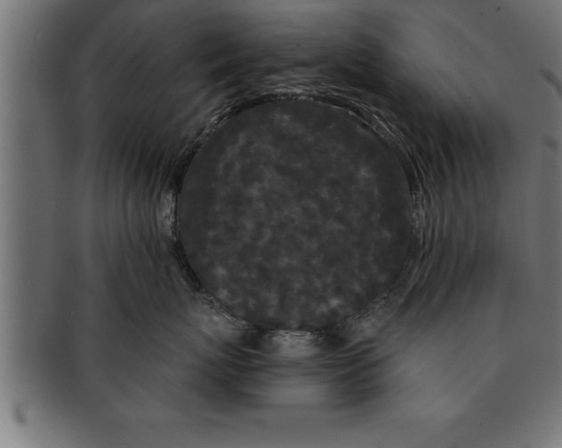 X0000091670767200709201219