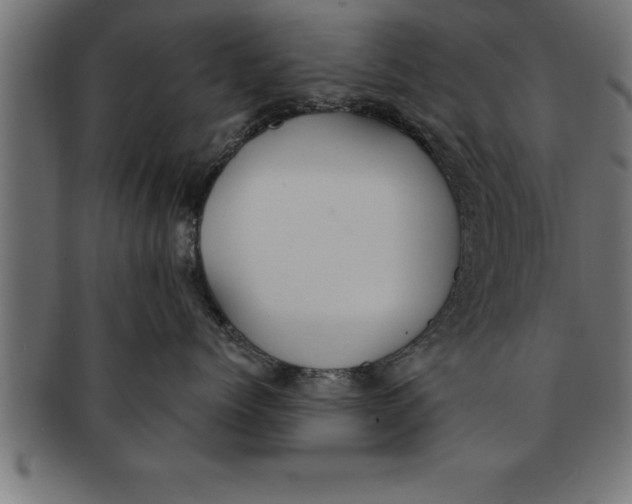 X0000091670768200709201219