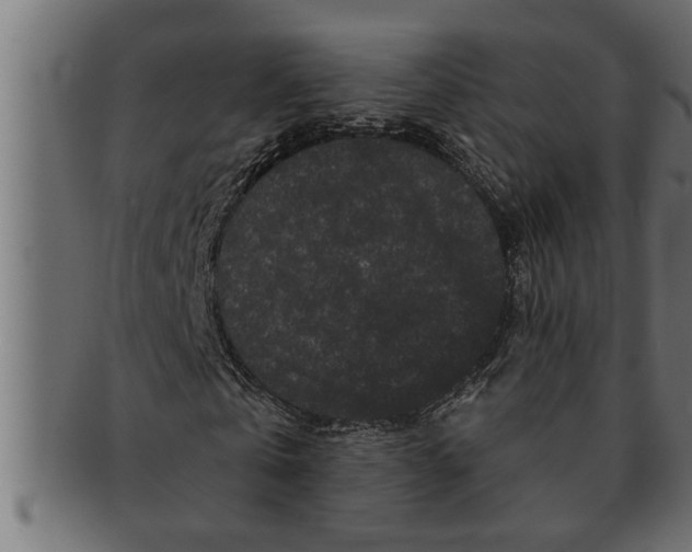 X0000091670769200709201219