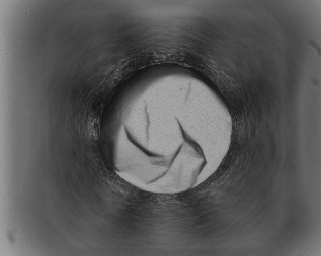 X0000091670770200709201219