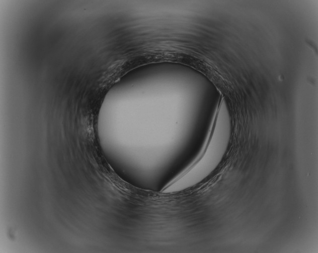 X0000091670771200709201218