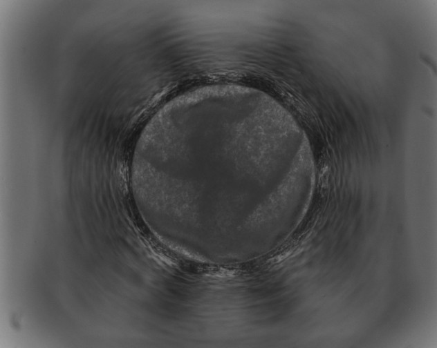 X0000091670772200709201218