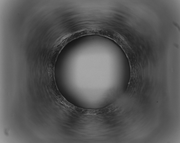 X0000091670773200709201218