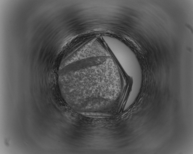 X0000091670776200709201218