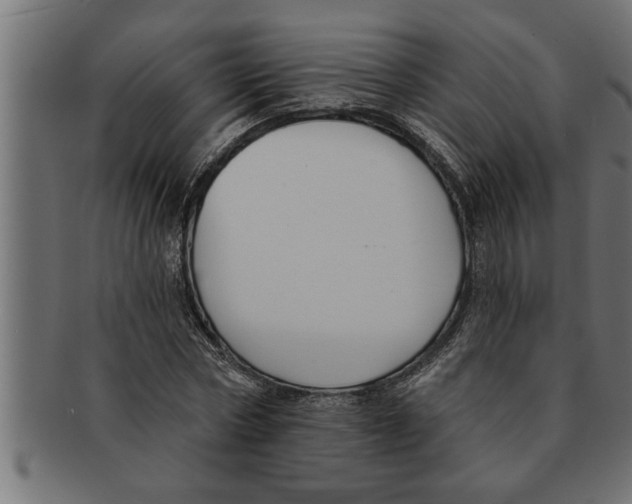 X0000091670778200709201218