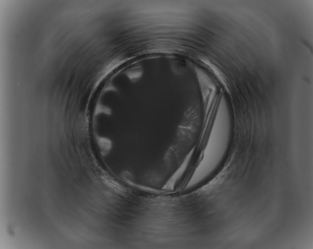 X0000091670779200709201218