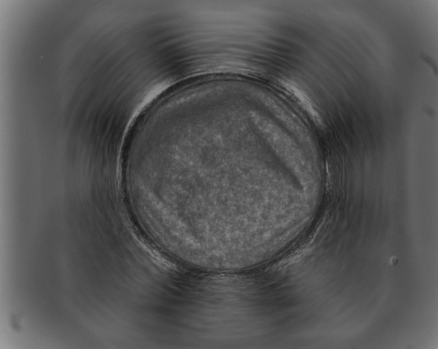 X0000091670780200709201218