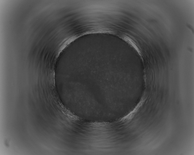 X0000091670781200709201218