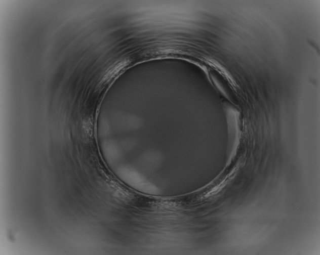 X0000091670785200709201218