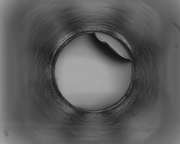 X0000091670786200709201218