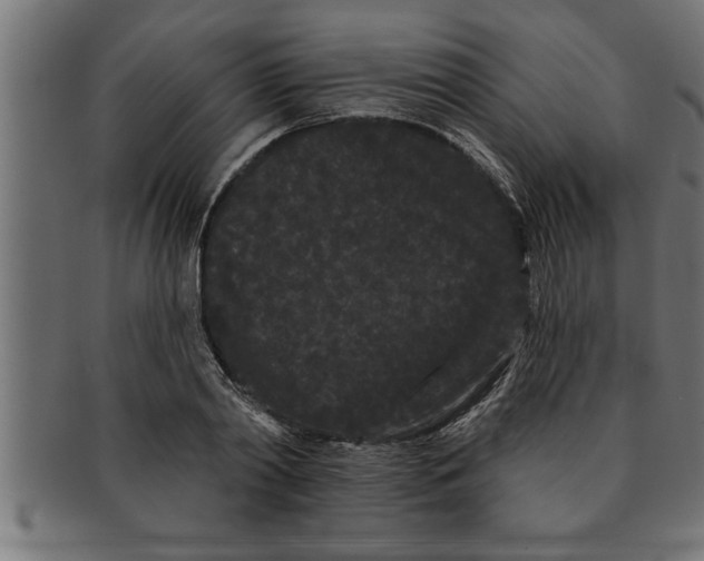 X0000091670790200709201218