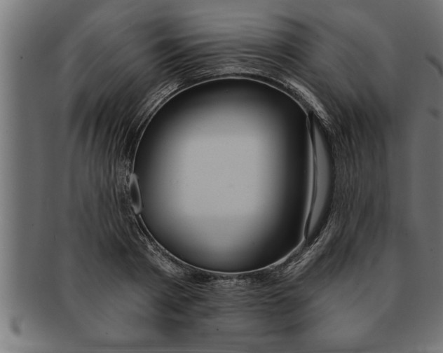 X0000091670793200709201218