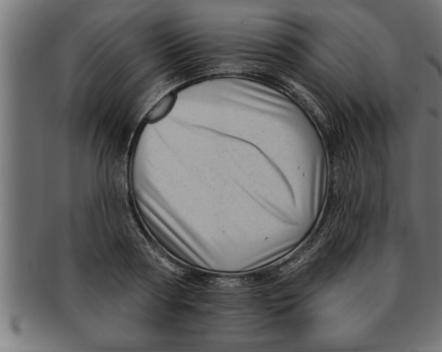 X0000091670794200709201218