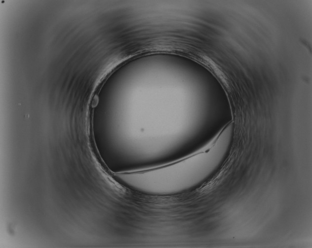 X0000091670795200709201218