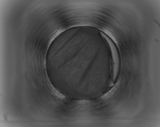 X0000091670797200709201218