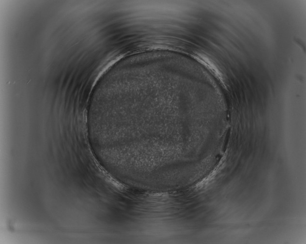 X0000091670798200709201218