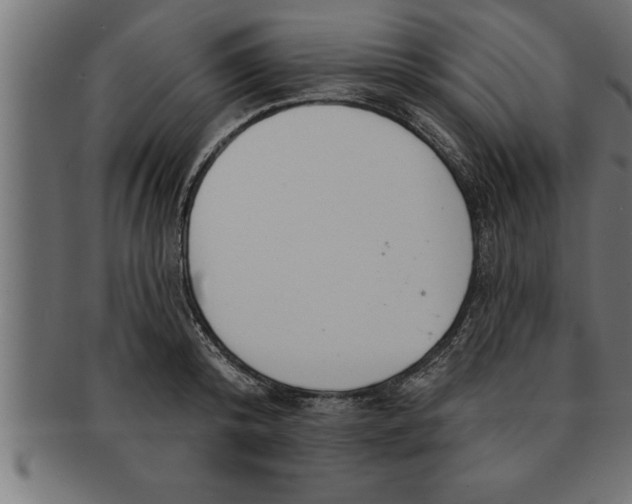 X0000091670800200709201218