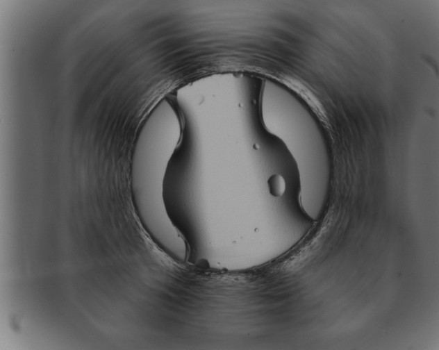 X0000091670801200709201218