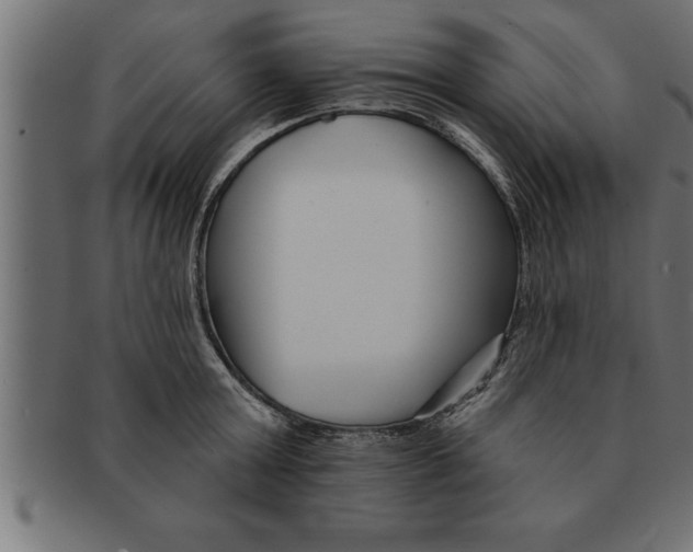 X0000091670803200709201218