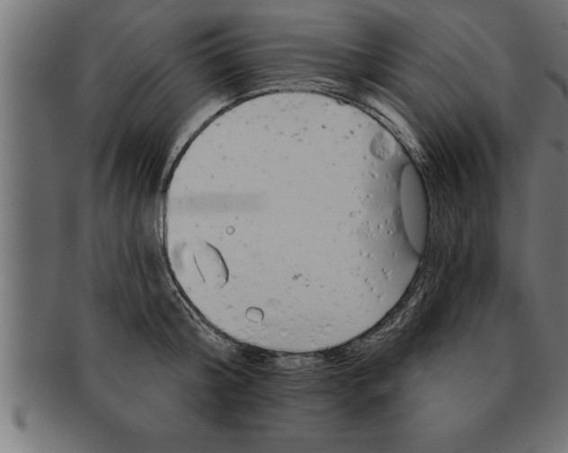 X0000091670804200709201218