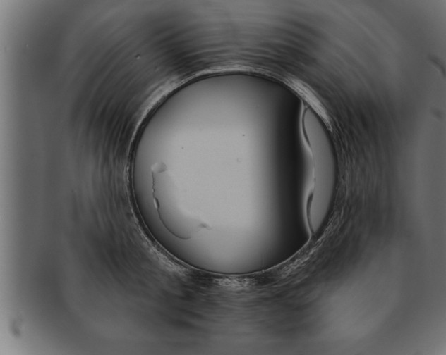 X0000091670805200709201218