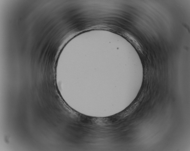 X0000091670808200709201218