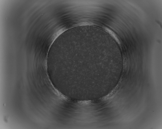 X0000091670810200709201218