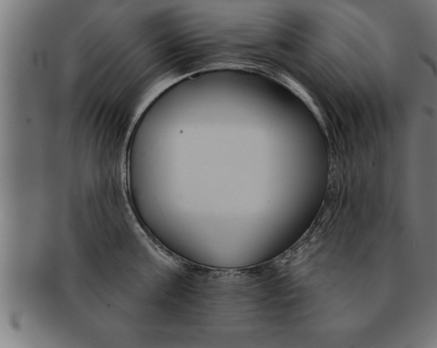 X0000091670811200709201218