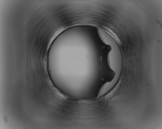 X0000091670812200709201218