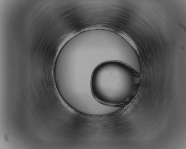 X0000091670813200709201218