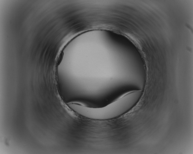 X0000091670816200709201218