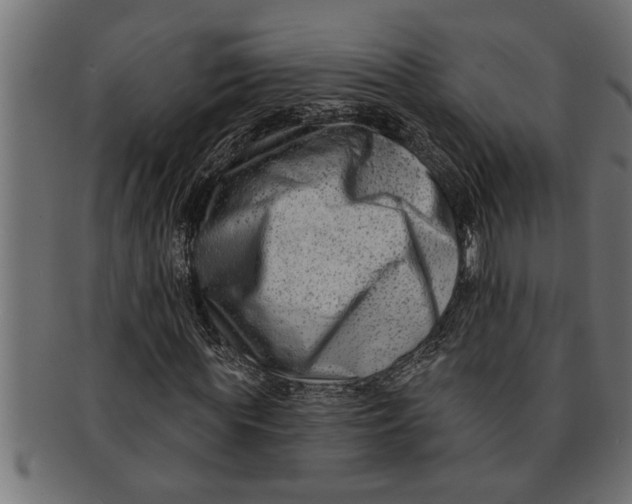 X0000091670819200709201217