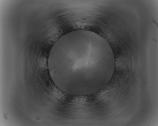 X0000091670820200709201217