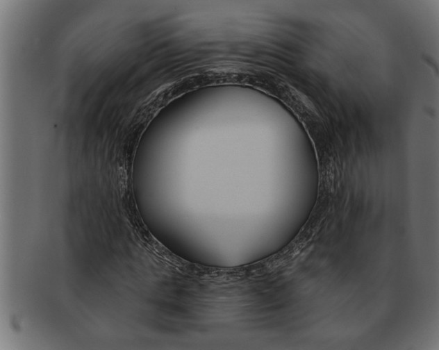 X0000091670821200709201217