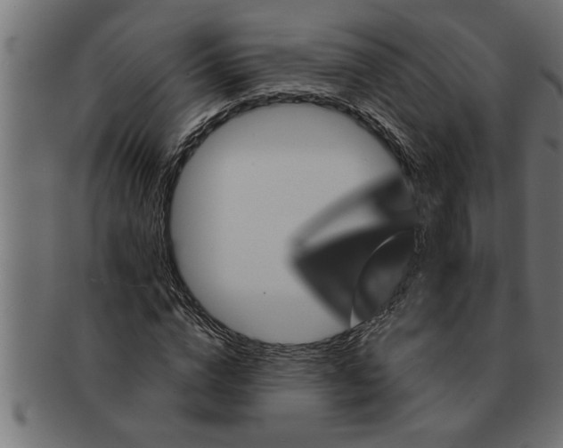 X0000091670824200709201217