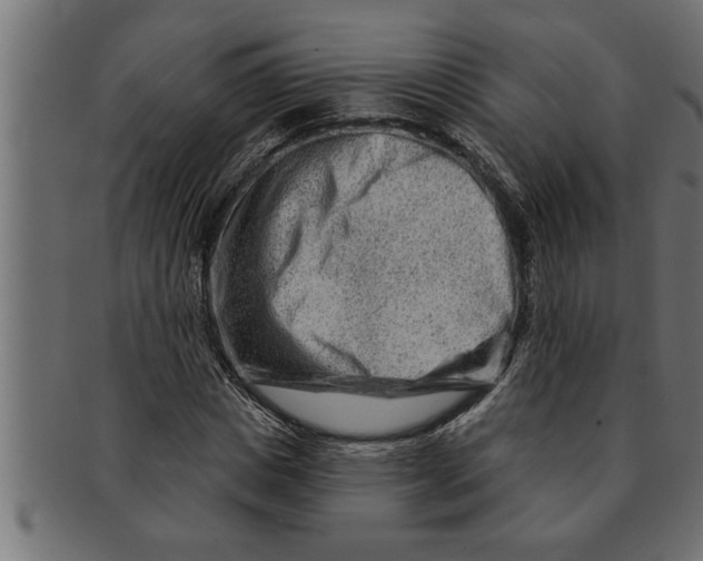 X0000091670825200709201217