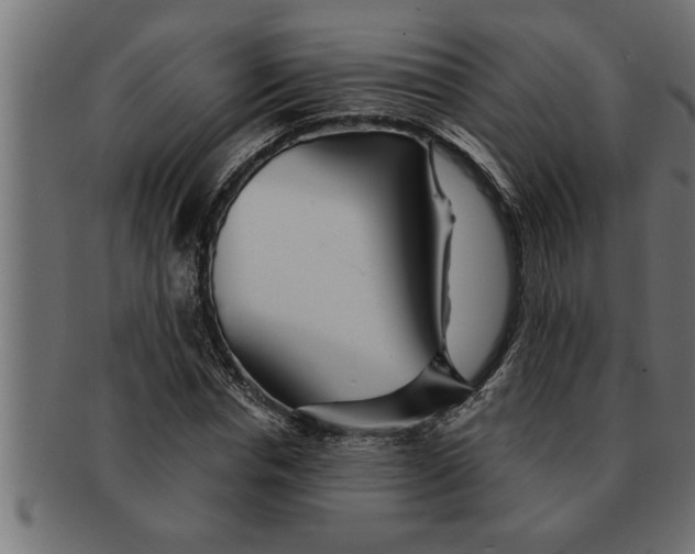 X0000091670826200709201217